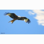 20220614 RM 01 1 DSC08474.jpg